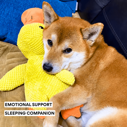 Calming Duck