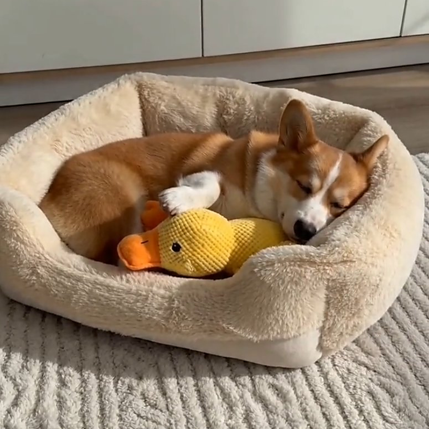 Calming Duck