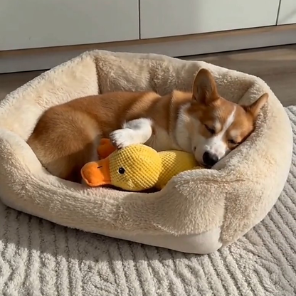 Calming Duck