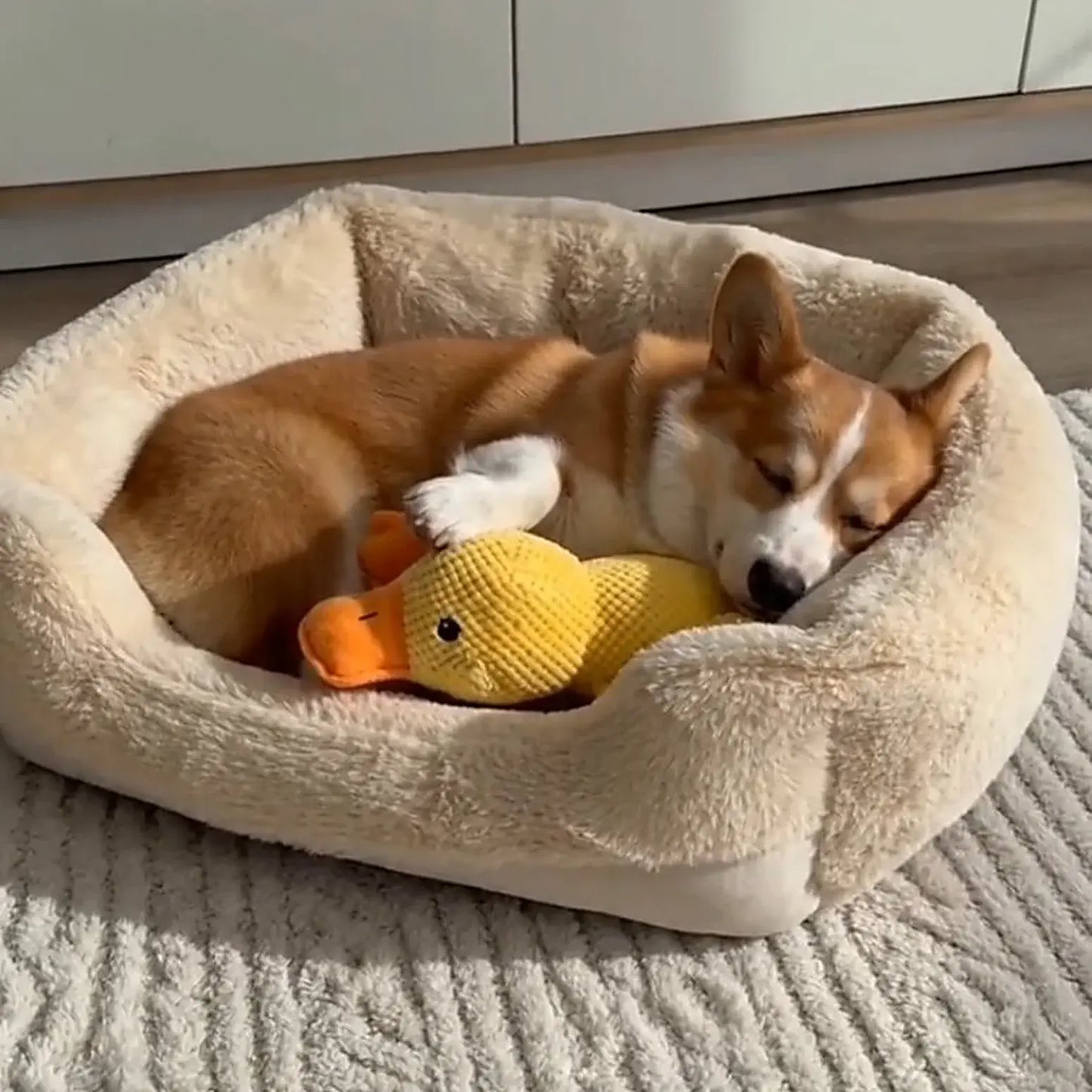 Calming Duck